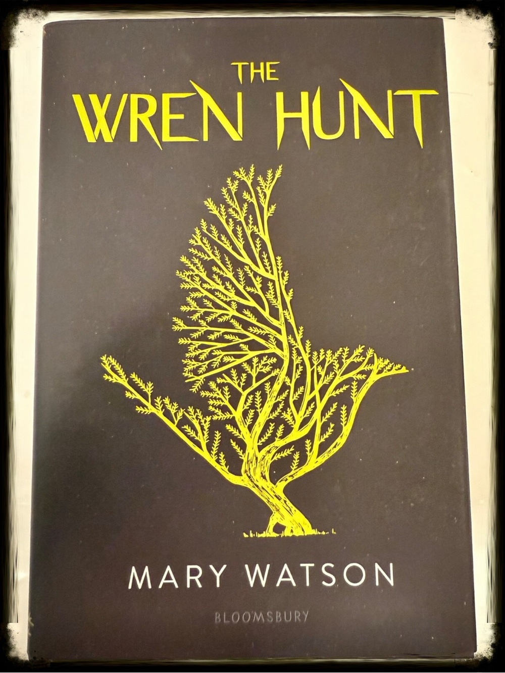 SIGNED The Wren Hunt by Mary Watson | LitJoy Exclusive YA Hardcover